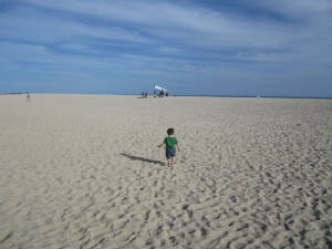 cabo2013a.jpg