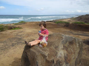 hawaii2012c.jpg