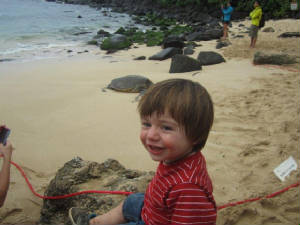 hawaii2012i.jpg