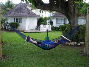 jamaica2010e.jpg
