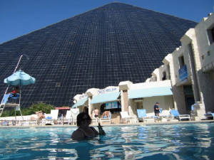 vegas2012b.jpg