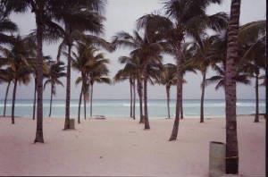 beachbeforehurricane.jpg