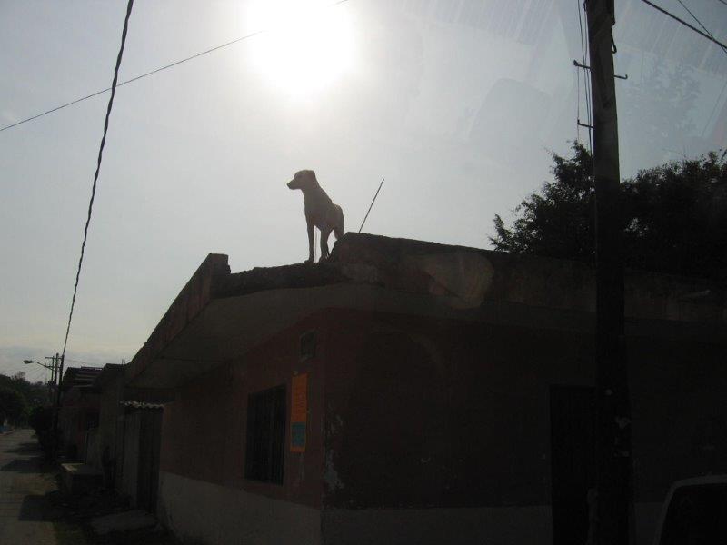 mexico2009b.jpg