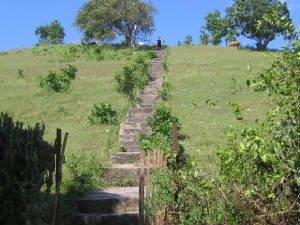 stairs.jpg